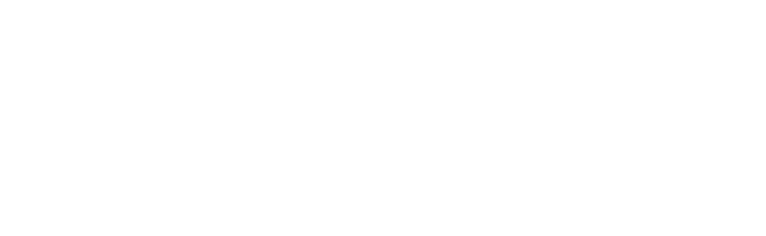 Finit Solutions